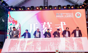 大秦手艺·传流不息，第五届陕西民间工艺品博览会开幕
